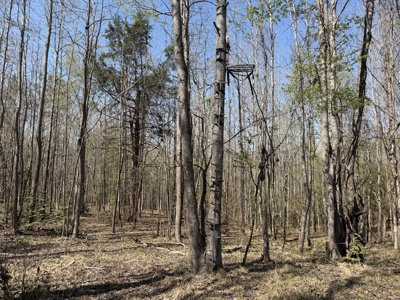 Cabin For Sale In Tn, Hunting, Storage, Shelter, Wooded - image 38