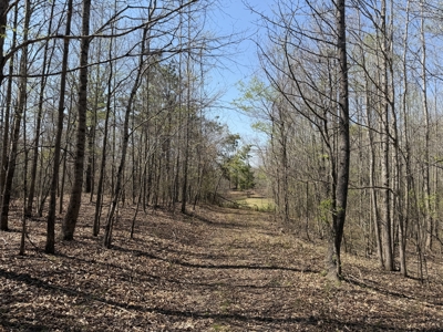 Cabin For Sale In Tn, Hunting, Storage, Shelter, Wooded - image 40