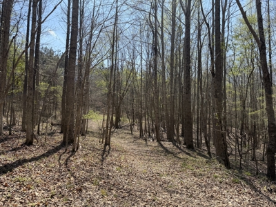Cabin For Sale In Tn, Hunting, Storage, Shelter, Wooded - image 45