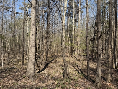 Cabin For Sale In Tn, Hunting, Storage, Shelter, Wooded - image 36
