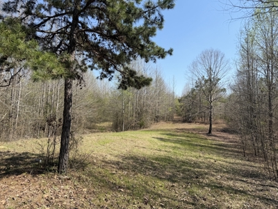 Cabin For Sale In Tn, Hunting, Storage, Shelter, Wooded - image 42