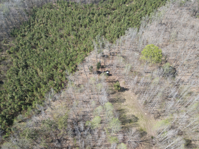 Cabin For Sale In Tn, Hunting, Storage, Shelter, Wooded - image 43