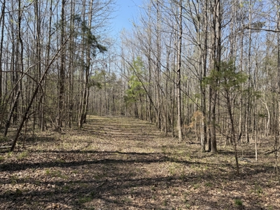 Cabin For Sale In Tn, Hunting, Storage, Shelter, Wooded - image 31