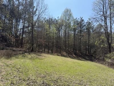 Cabin For Sale In Tn, Hunting, Storage, Shelter, Wooded - image 50