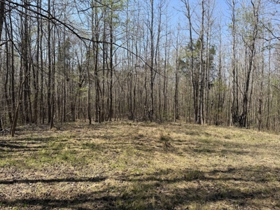 Cabin For Sale In Tn, Hunting, Storage, Shelter, Wooded - image 37