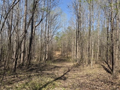 Cabin For Sale In Tn, Hunting, Storage, Shelter, Wooded - image 32