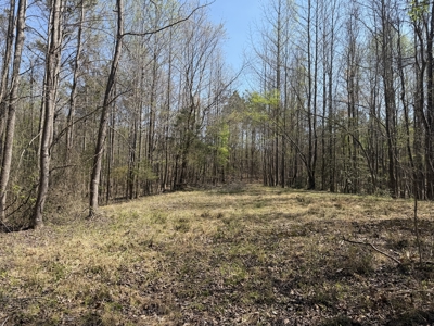 Cabin For Sale In Tn, Hunting, Storage, Shelter, Wooded - image 39