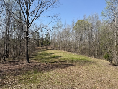 Cabin For Sale In Tn, Hunting, Storage, Shelter, Wooded - image 41