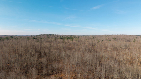 120 Acres in the Missouri Ozarks | Raymondville - image 11