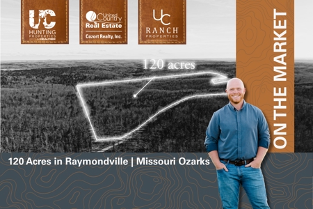 120 Acres in the Missouri Ozarks | Raymondville - image 1