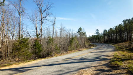 120 Acres in the Missouri Ozarks | Raymondville - image 19