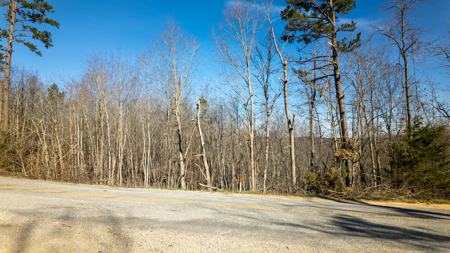 120 Acres in the Missouri Ozarks | Raymondville - image 18