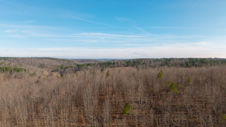 120 Acres in the Missouri Ozarks | Raymondville - image 13