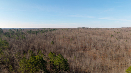 120 Acres in the Missouri Ozarks | Raymondville - image 7