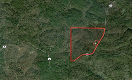 120 Acres in the Missouri Ozarks | Raymondville - image 2