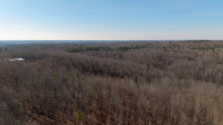 120 Acres in the Missouri Ozarks | Raymondville - image 5