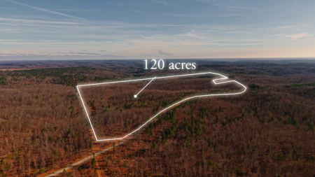 120 Acres in the Missouri Ozarks | Raymondville - image 3