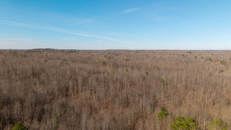 120 Acres in the Missouri Ozarks | Raymondville - image 8