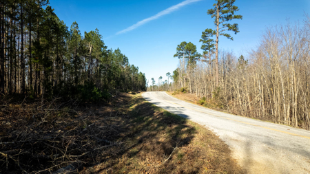 120 Acres in the Missouri Ozarks | Raymondville - image 17