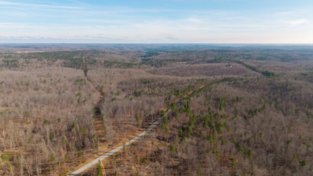 120 Acres in the Missouri Ozarks | Raymondville - image 4