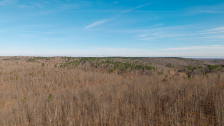120 Acres in the Missouri Ozarks | Raymondville - image 12