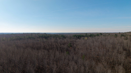 120 Acres in the Missouri Ozarks | Raymondville - image 10