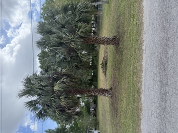 Listing 160