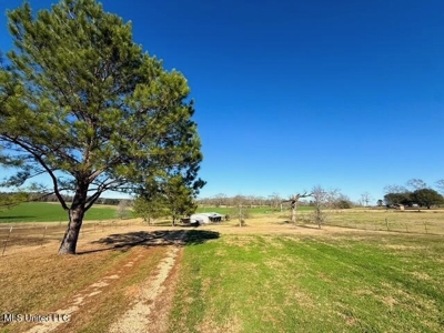 Amite County, MS 4-Bed Mobile Home on 5.41 Acres - image 20