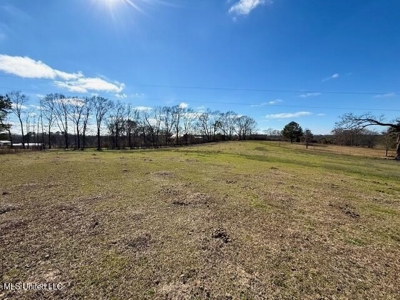 Amite County, MS 4-Bed Mobile Home on 5.41 Acres - image 23