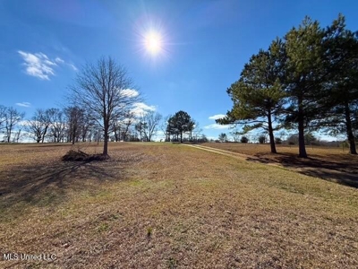 Amite County, MS 4-Bed Mobile Home on 5.41 Acres - image 31