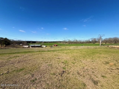 Amite County, MS 4-Bed Mobile Home on 5.41 Acres - image 22