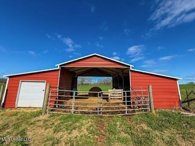 Amite County, MS 4-Bed Mobile Home on 5.41 Acres - image 3