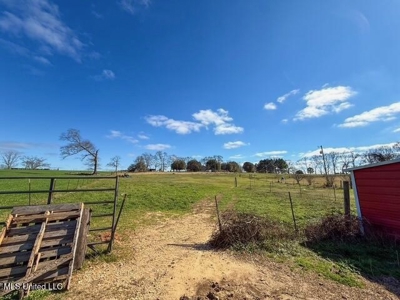 Amite County, MS 4-Bed Mobile Home on 5.41 Acres - image 26
