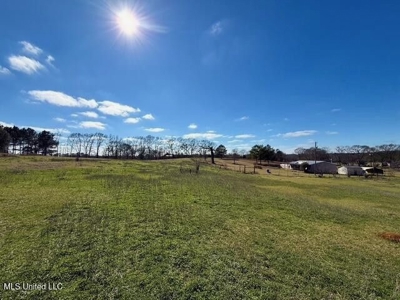Amite County, MS 4-Bed Mobile Home on 5.41 Acres - image 21