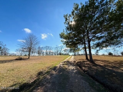 Amite County, MS 4-Bed Mobile Home on 5.41 Acres - image 32