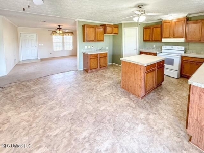 Amite County, MS 4-Bed Mobile Home on 5.41 Acres - image 6