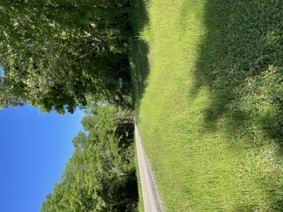 East Texas Commercial Land For Sale - image 7