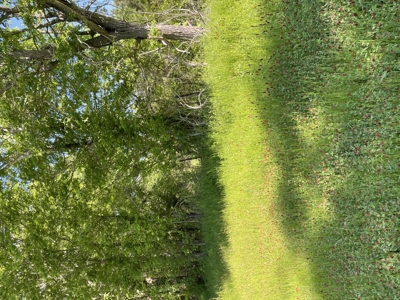 East Texas Commercial Land For Sale - image 6