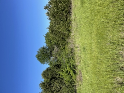 East Texas Commercial Land For Sale - image 4