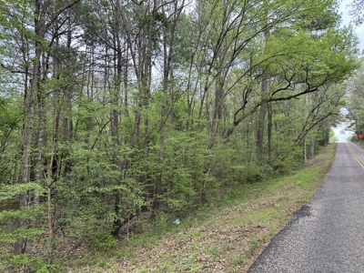 East Texas Commercial Land For Sale - image 21