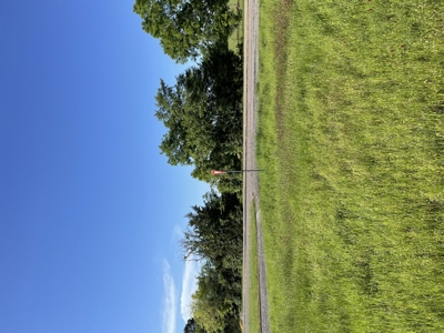 East Texas Commercial Land For Sale - image 3