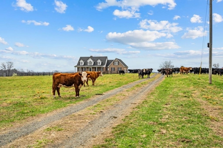 Working Farm Perfection on the Rapidan—176 Acres of Opportunity! - image 25