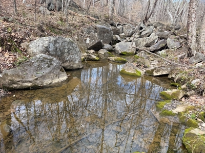 Working Farm Perfection on the Rapidan—176 Acres of Opportunity! - image 19