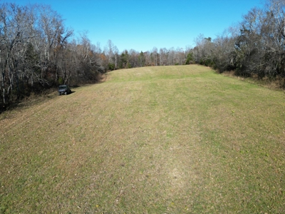 Working Farm Perfection on the Rapidan—176 Acres of Opportunity! - image 15