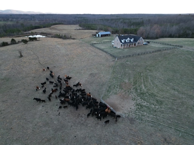 Working Farm Perfection on the Rapidan—176 Acres of Opportunity! - image 4