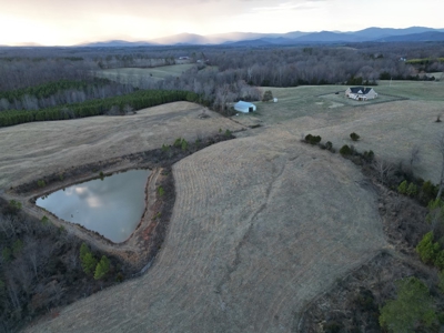 Working Farm Perfection on the Rapidan—176 Acres of Opportunity! - image 3