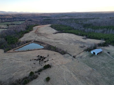 Working Farm Perfection on the Rapidan—176 Acres of Opportunity! - image 5