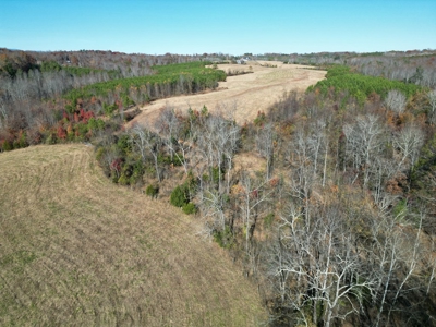 Working Farm Perfection on the Rapidan—176 Acres of Opportunity! - image 2