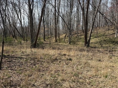 Working Farm Perfection on the Rapidan—176 Acres of Opportunity! - image 17