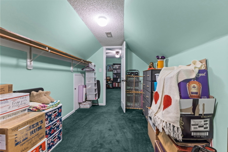 Peaceful Living Minutes to Beaufort - image 7